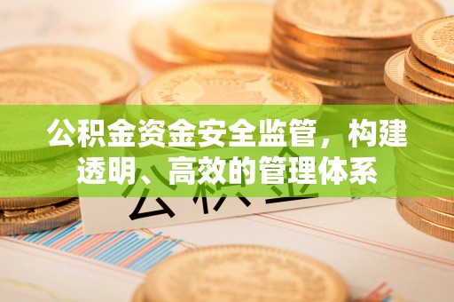 汕尾公积金资金安全监管，构建透明、高效的管理体系