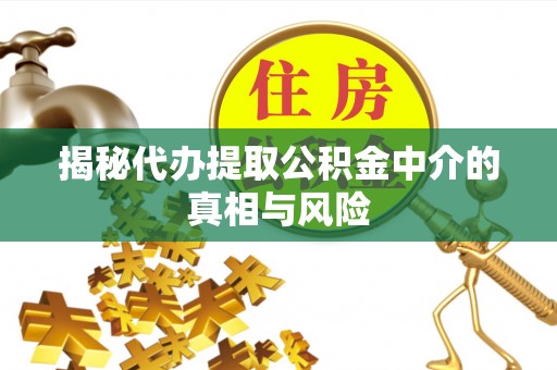 汕尾揭秘代办提取公积金中介的真相与风险