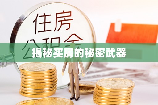 汕尾揭秘买房的秘密武器