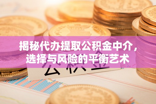 汕尾揭秘代办提取公积金中介，选择与风险的平衡艺术