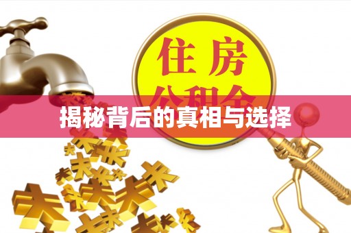 汕尾揭秘背后的真相与选择