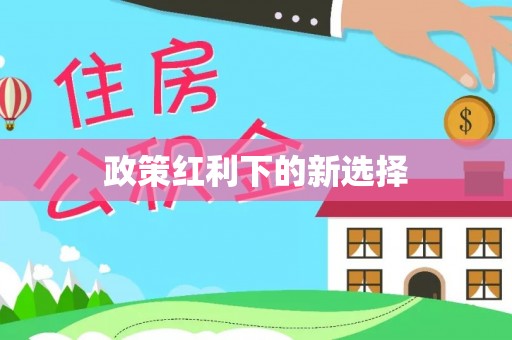 汕尾政策红利下的新选择