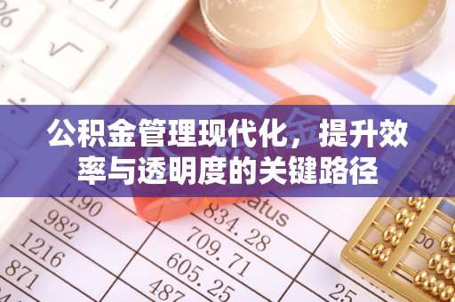 汕尾公积金管理现代化，提升效率与透明度的关键路径