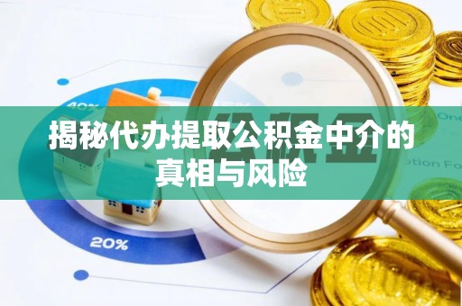 汕尾揭秘代办提取公积金中介的真相与风险