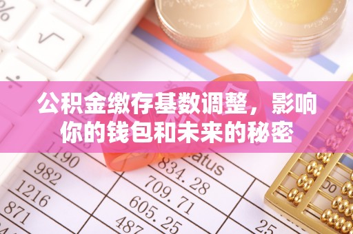 汕尾公积金缴存基数调整，影响你的钱包和未来的秘密